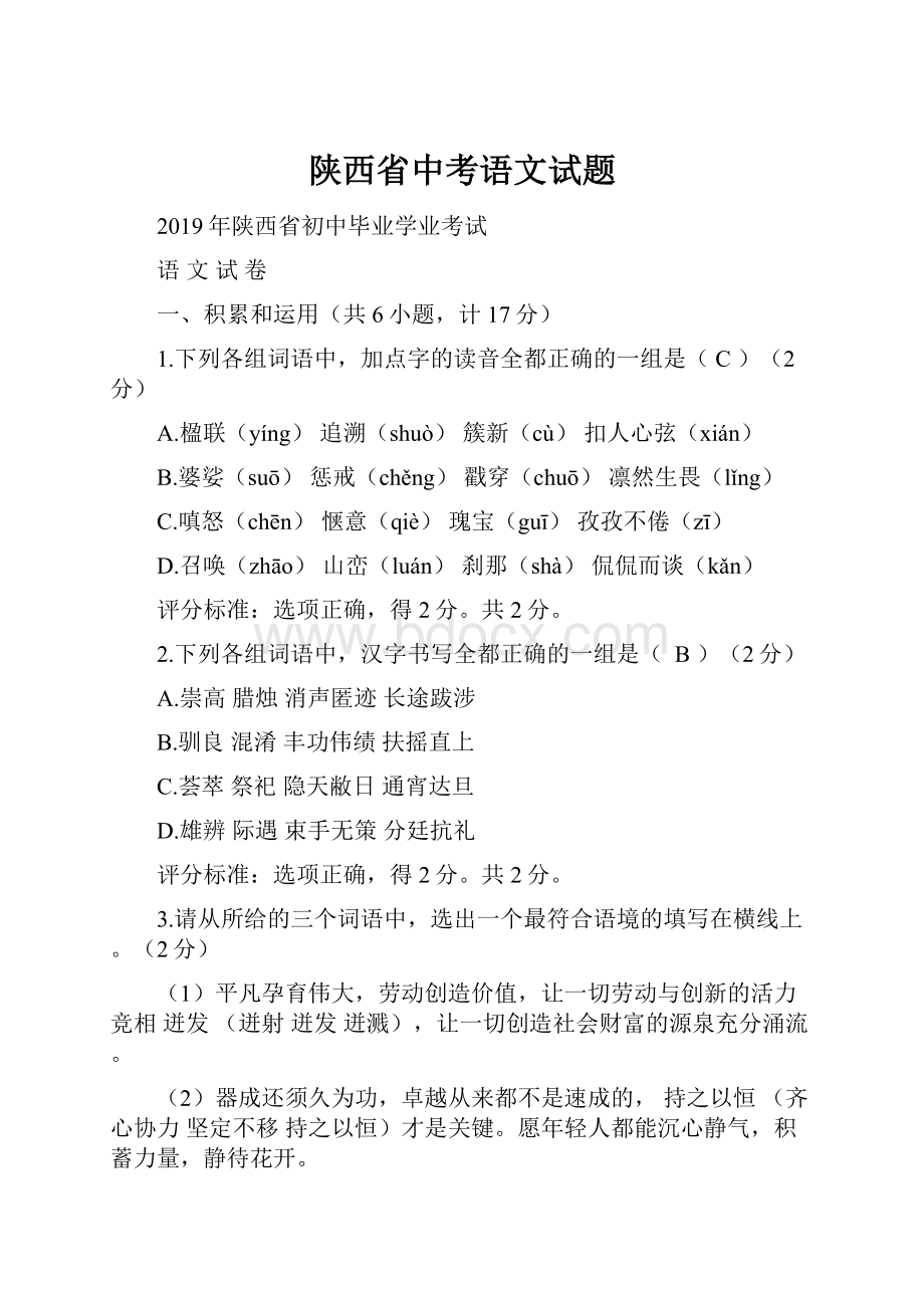 陕西省中考语文试题文档格式.docx