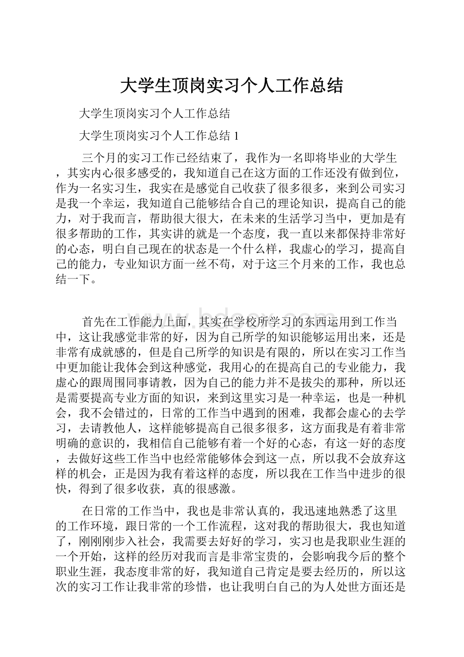 大学生顶岗实习个人工作总结文档格式.docx