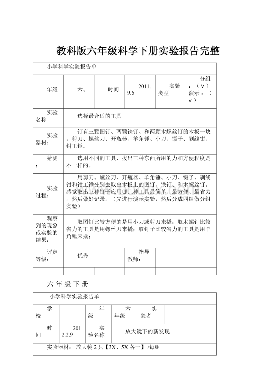 教科版六年级科学下册实验报告完整Word文件下载.docx