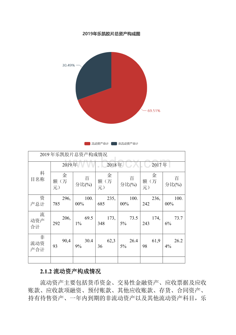 乐凯胶片度财务分析报告.docx_第2页