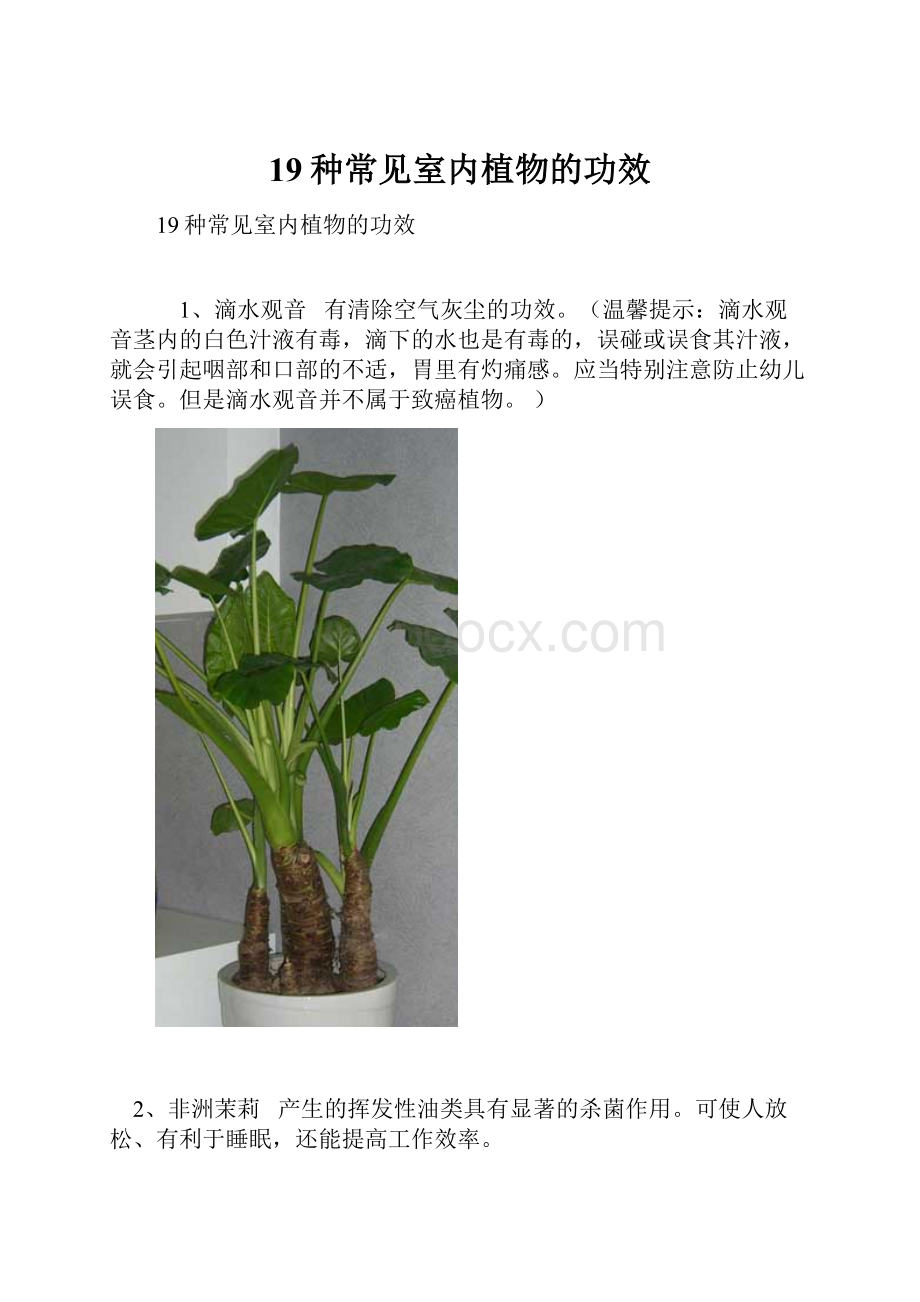 19种常见室内植物的功效Word下载.docx_第1页