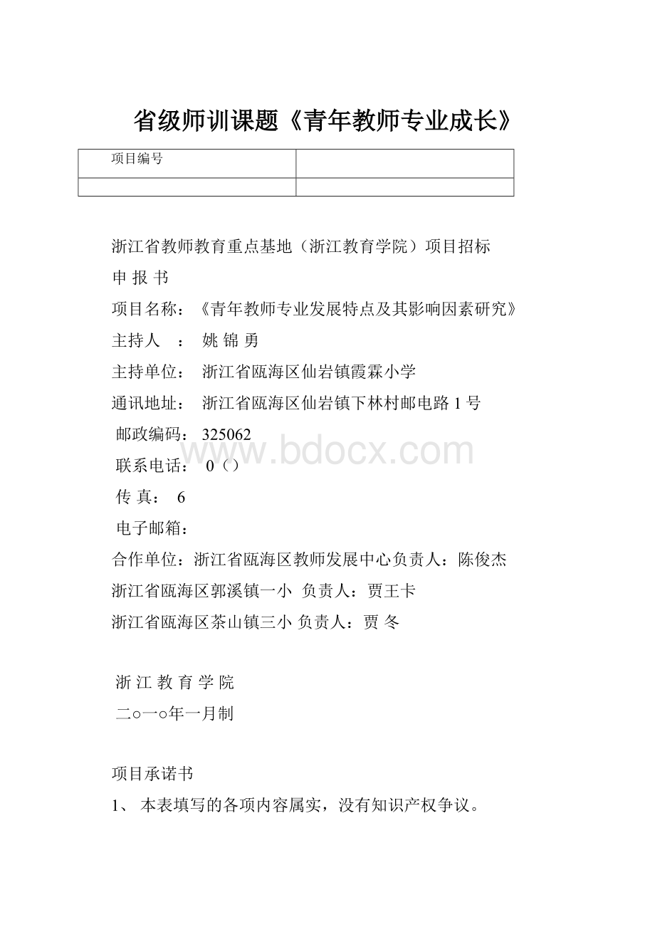 省级师训课题《青年教师专业成长》Word格式文档下载.docx