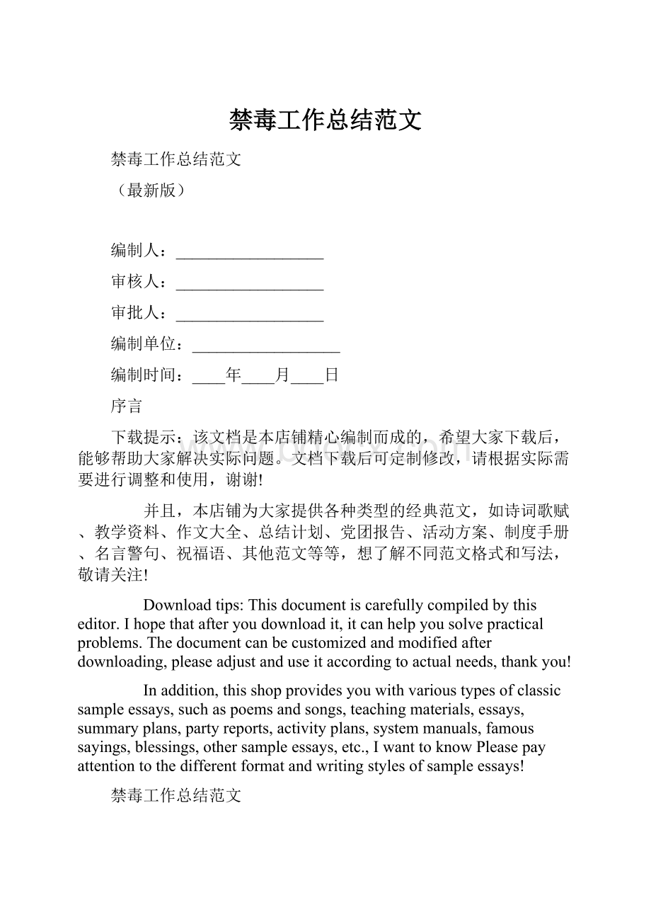 禁毒工作总结范文文档格式.docx