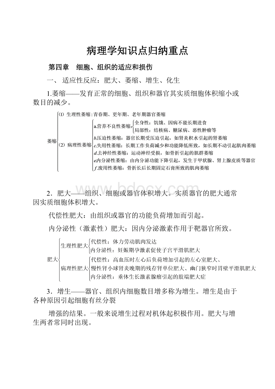 病理学知识点归纳重点Word格式文档下载.docx_第1页