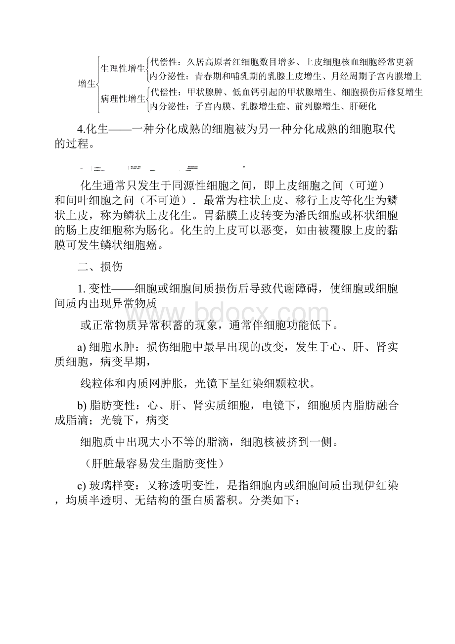 病理学知识点归纳重点Word格式文档下载.docx_第2页