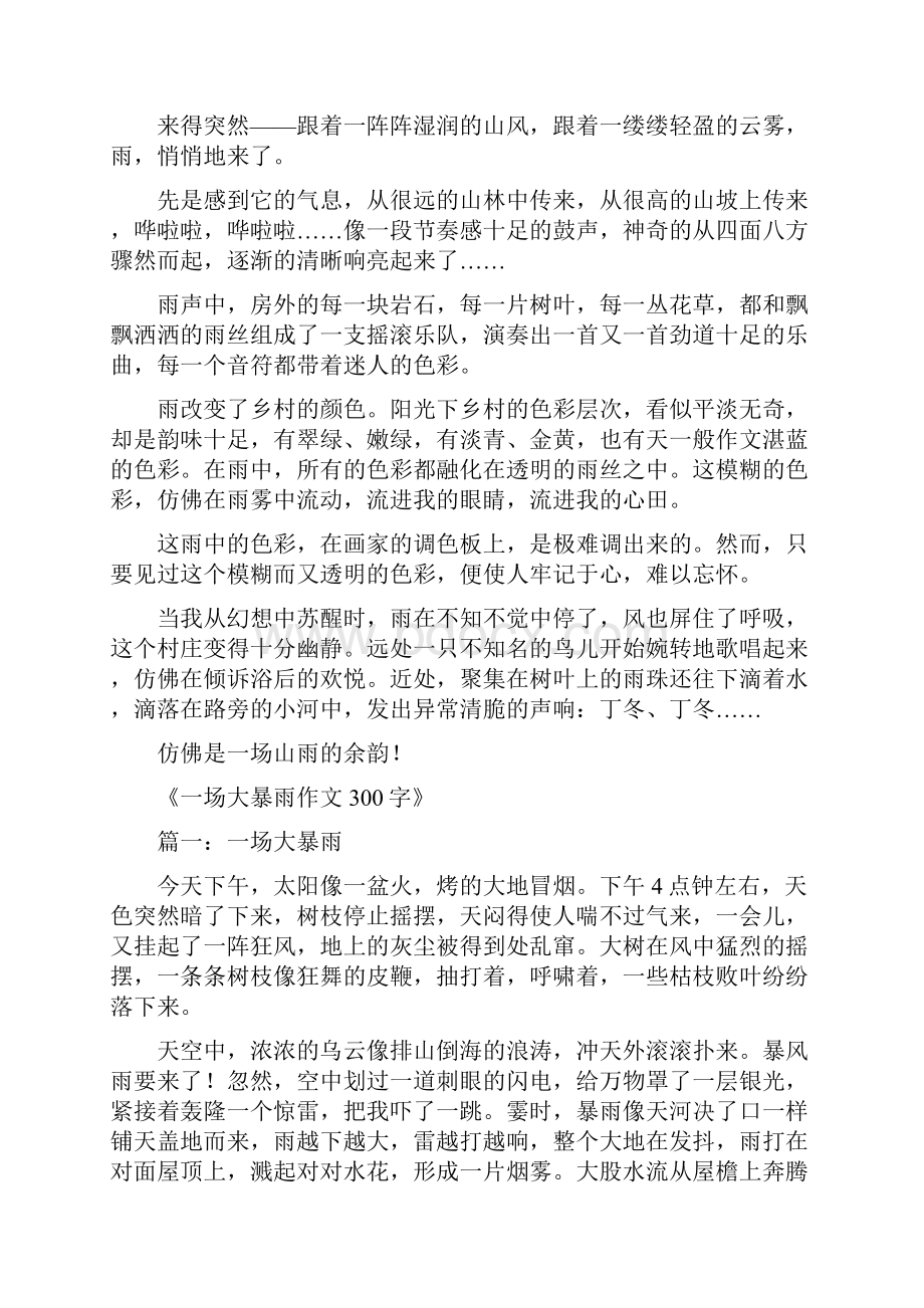 暴雨作文6篇共24页Word格式文档下载.docx_第2页