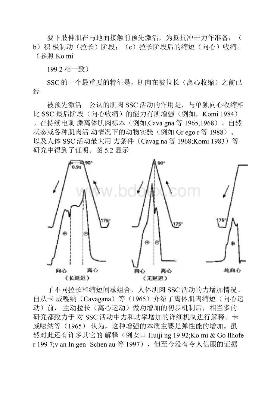 第05章肌肉的拉长缩短周期活动Word文件下载.docx_第2页