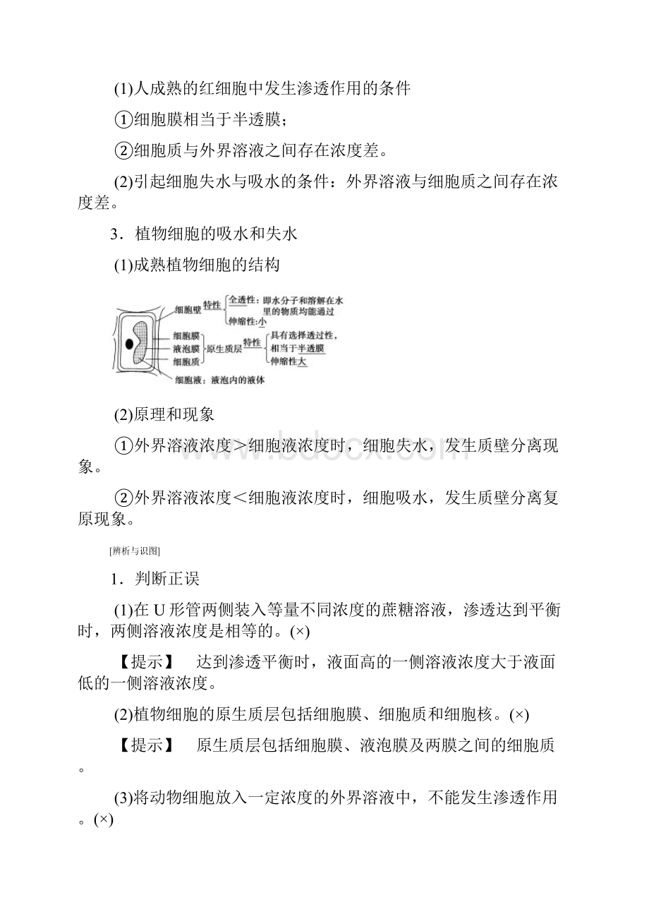 全国版版高考生物一轮复习第2单元细胞的基本结构与物质的输入和输出第3讲细胞的物质输入与输出学案Word格式文档下载.docx_第2页