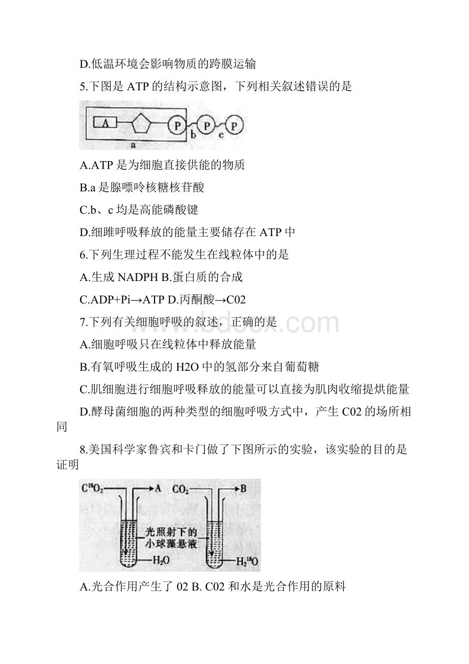 名校复习专用湖北省孝感市重点高中协作体学年高一生物下学期期末联考试题Word下载.docx_第2页