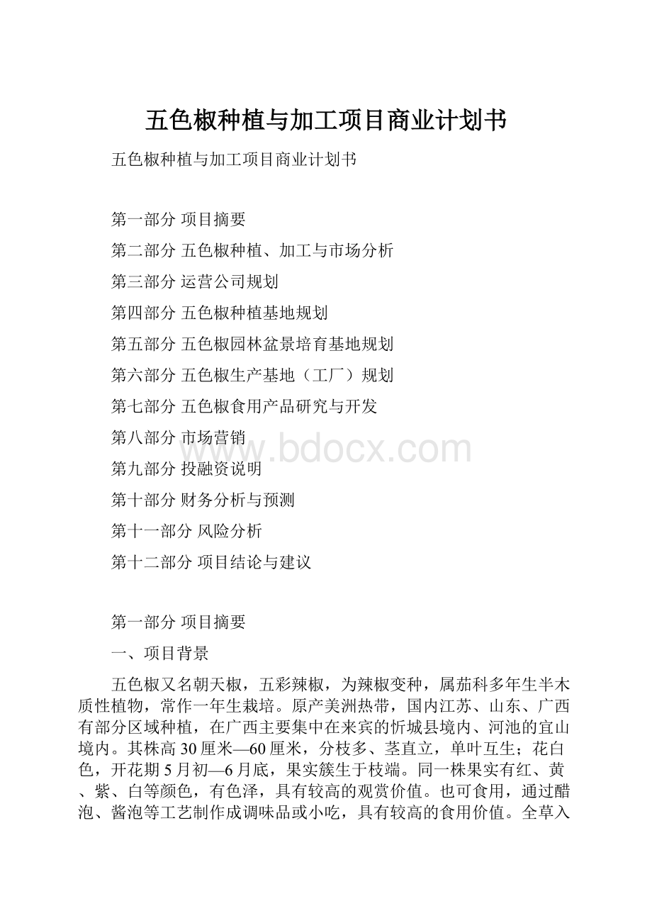 五色椒种植与加工项目商业计划书Word格式.docx