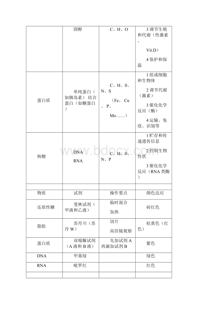 高三生物三轮基础知识复习框架总结Word下载.docx_第3页