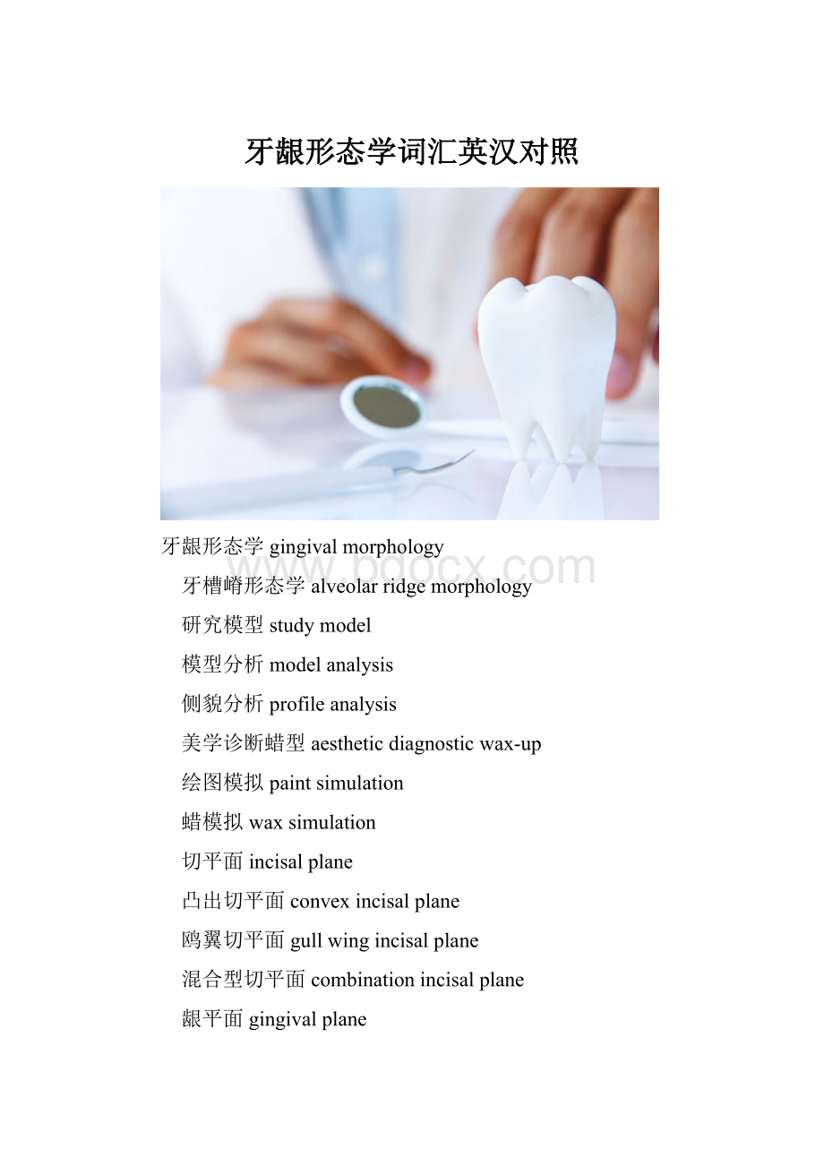 牙龈形态学词汇英汉对照Word格式.docx