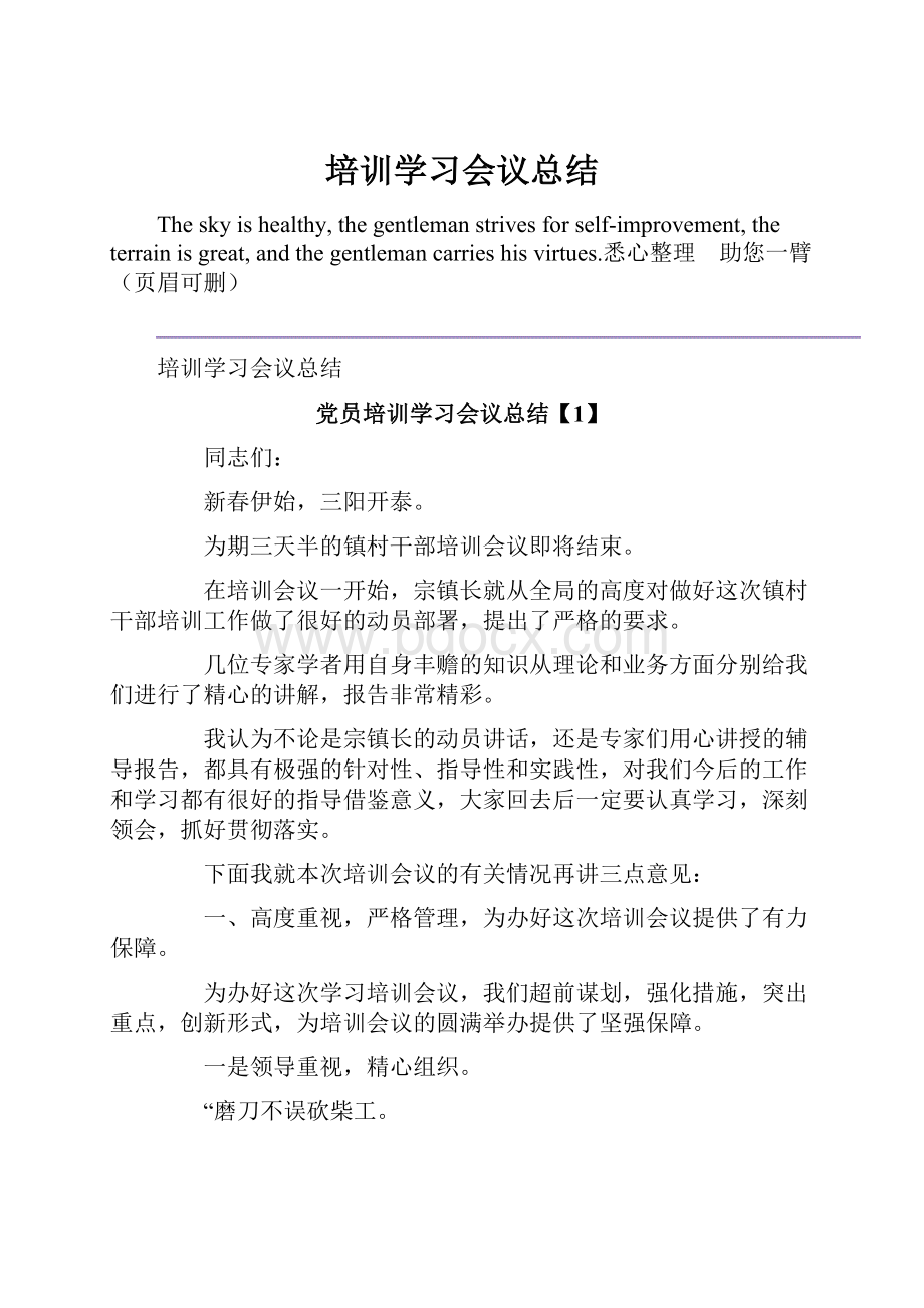 培训学习会议总结文档格式.docx