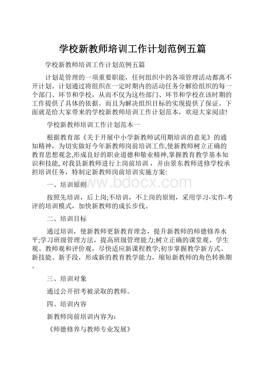 学校新教师培训工作计划范例五篇.docx