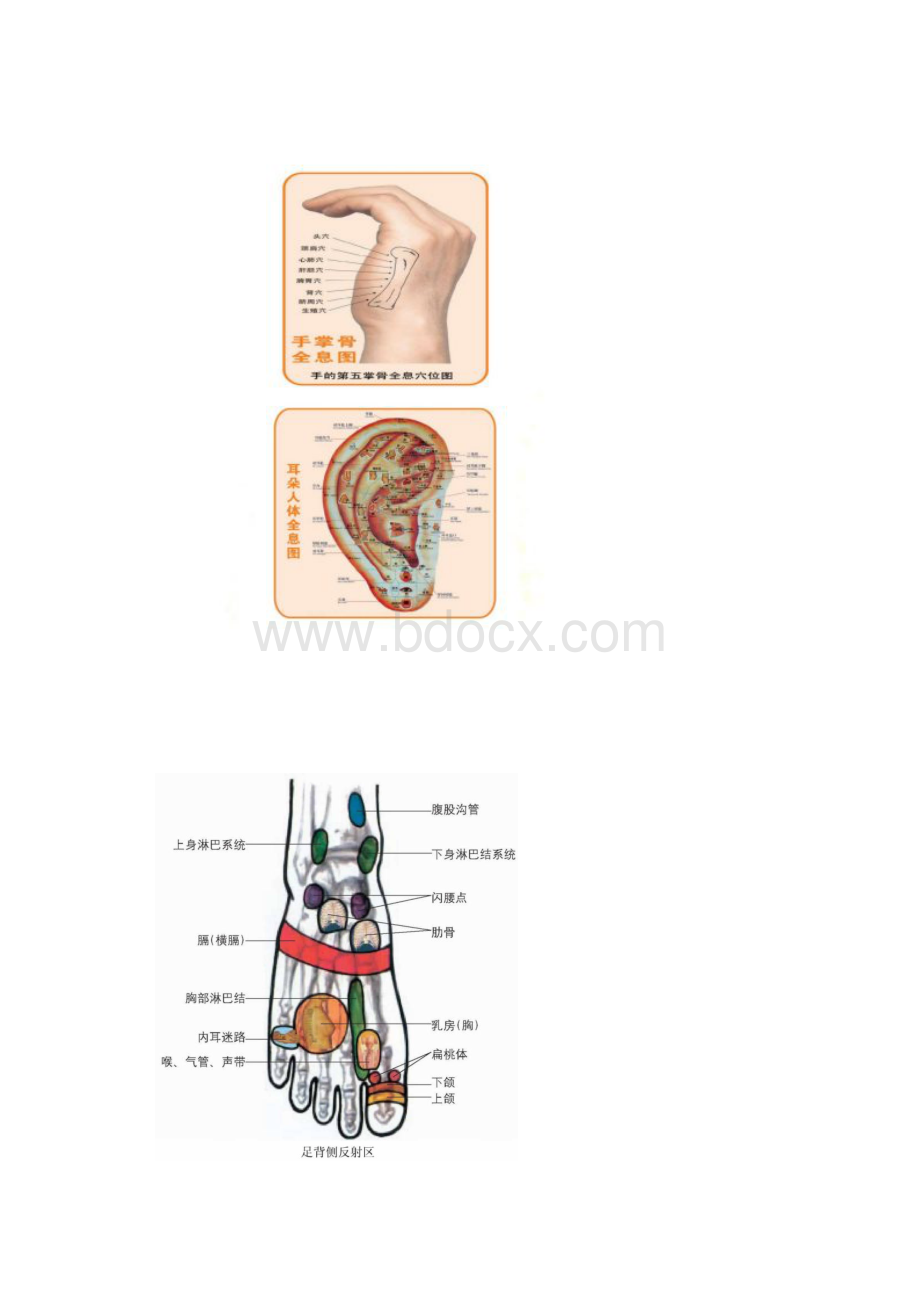 人体全息穴位图32张.docx_第3页