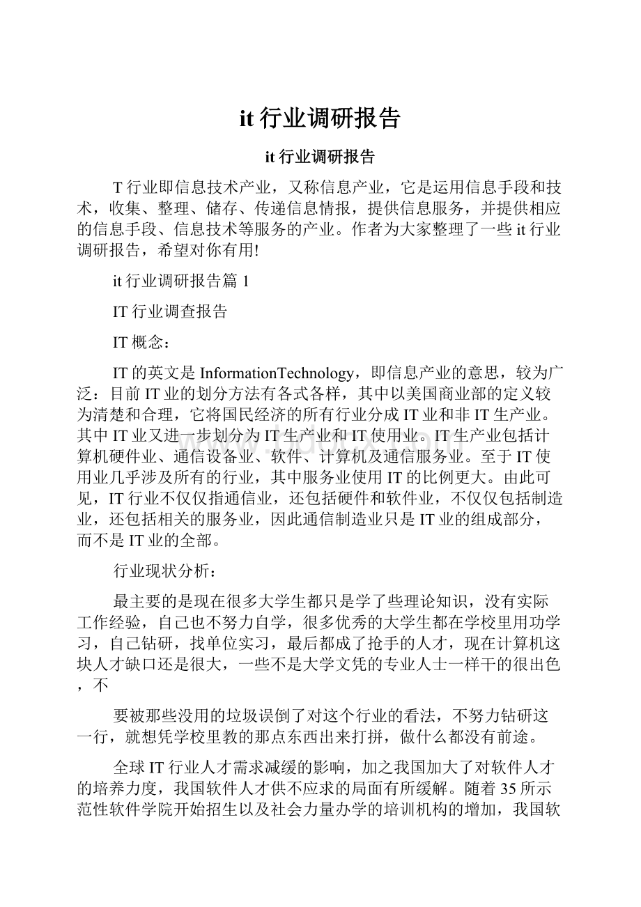 it行业调研报告Word格式文档下载.docx