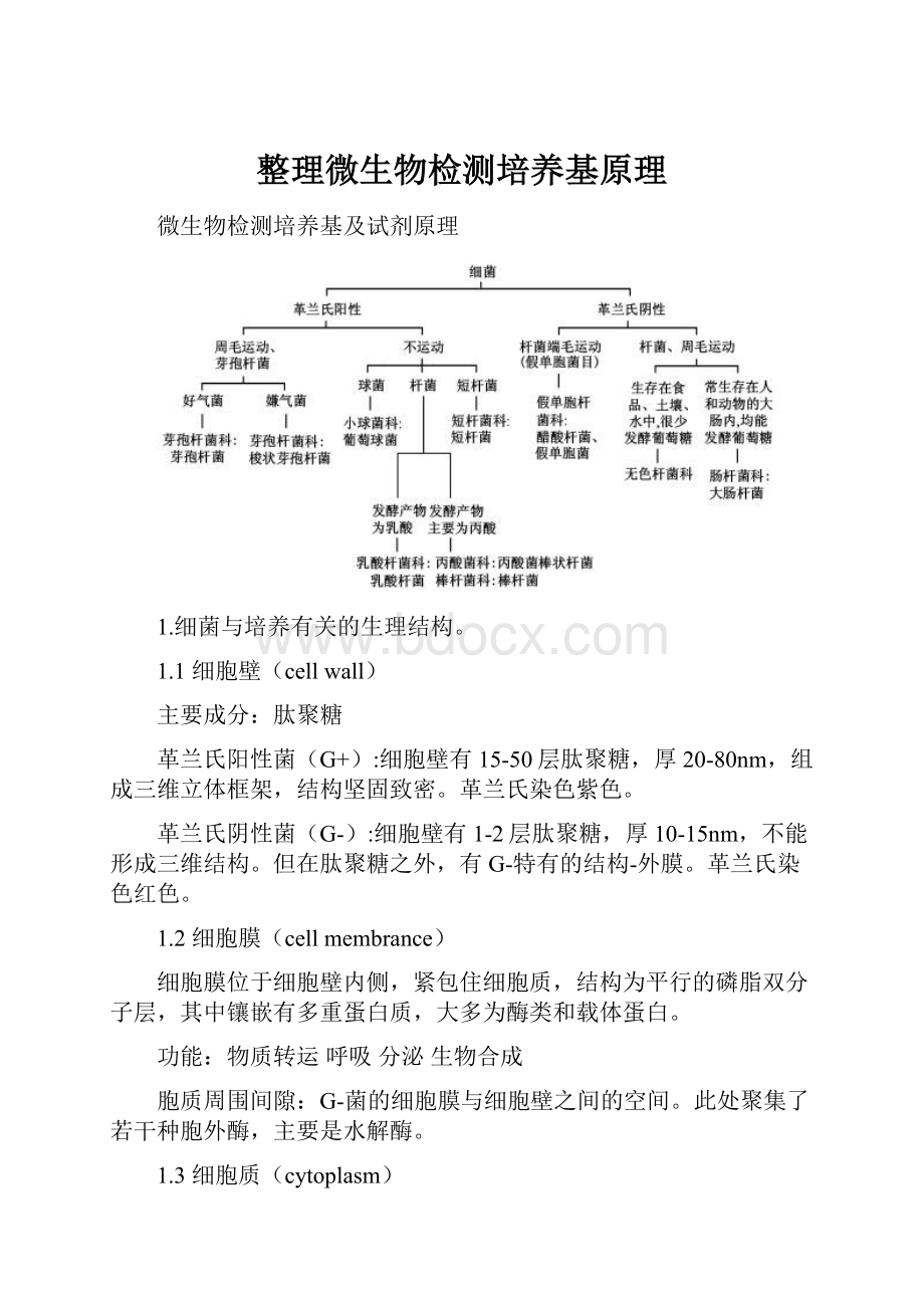 整理微生物检测培养基原理Word格式.docx_第1页