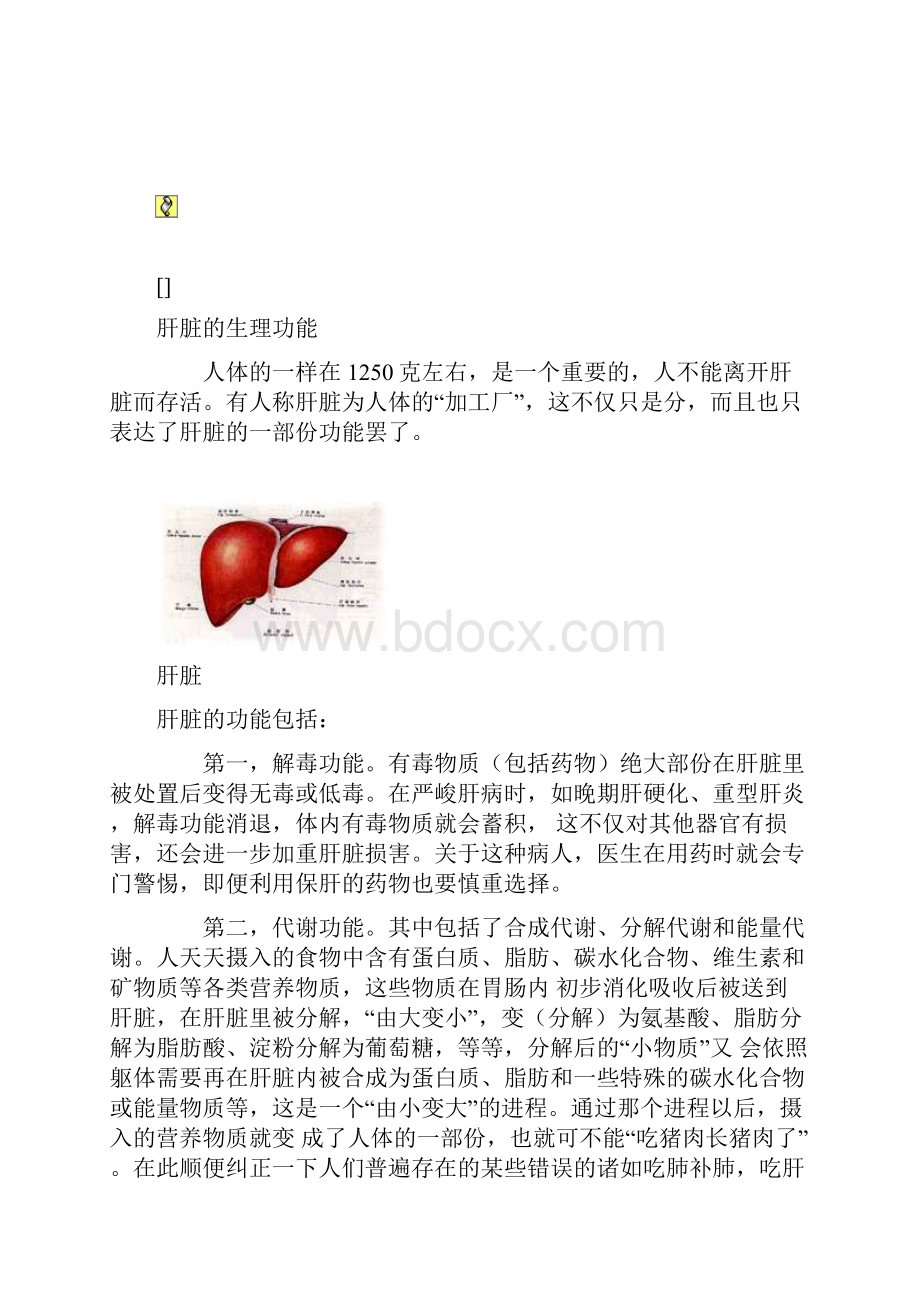 肝功能指标解读Word格式.docx_第2页