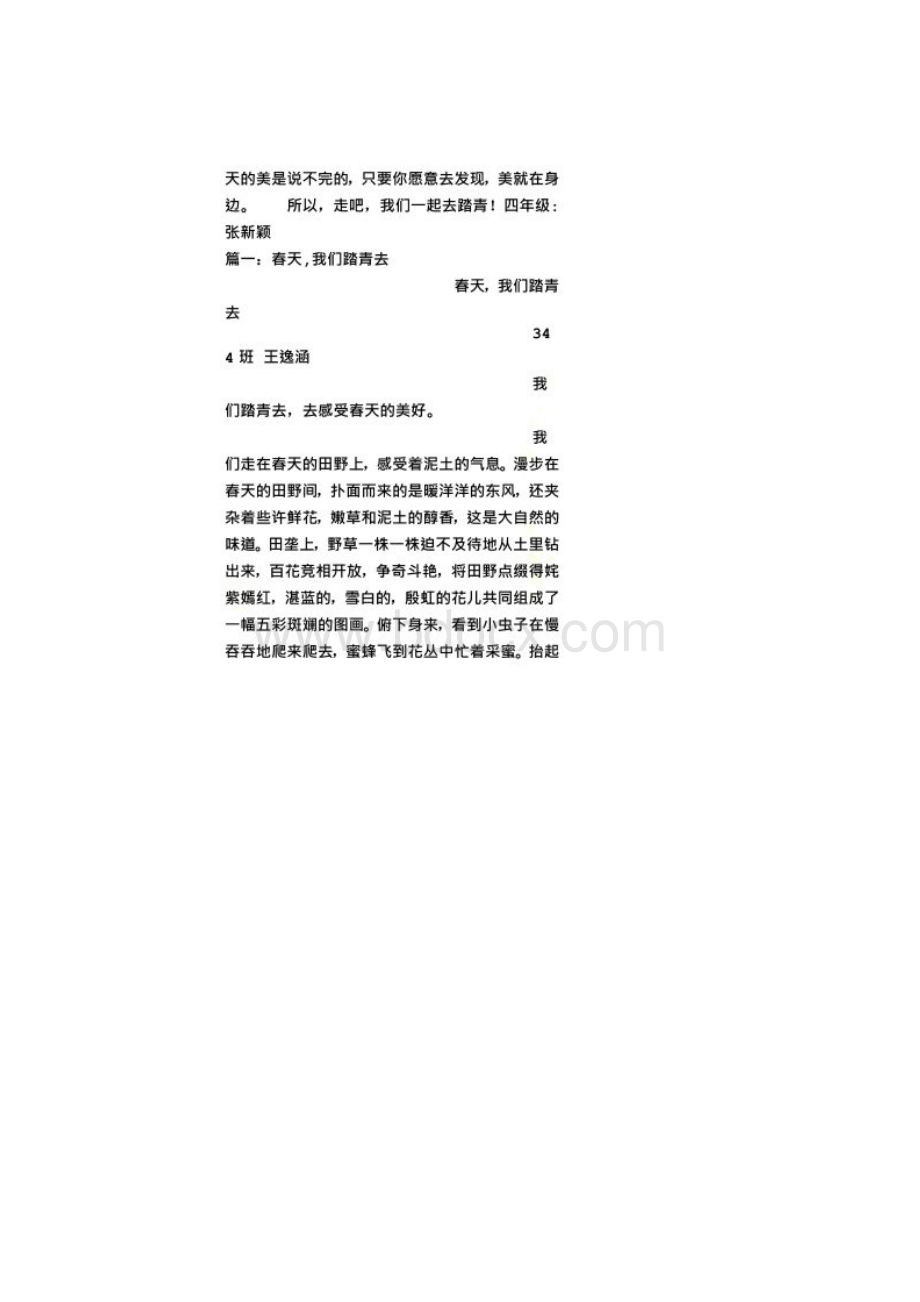 春天我们去踏青450字作文.docx_第2页