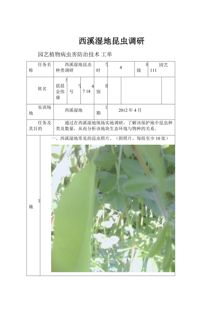 西溪湿地昆虫调研.docx_第1页