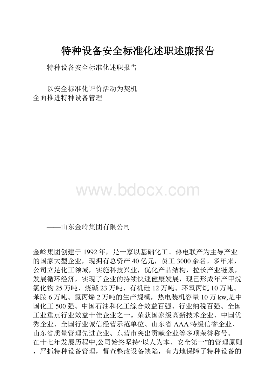 特种设备安全标准化述职述廉报告Word格式.docx_第1页