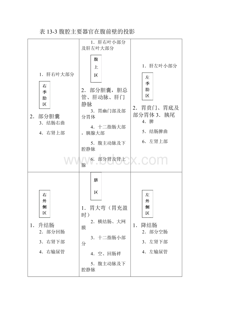 腹部位于胸部和盆部之间.docx_第3页