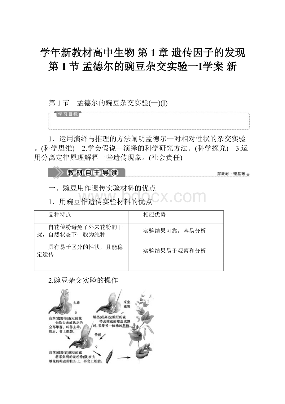 学年新教材高中生物 第1章 遗传因子的发现 第1节 孟德尔的豌豆杂交实验一Ⅰ学案 新文档格式.docx_第1页