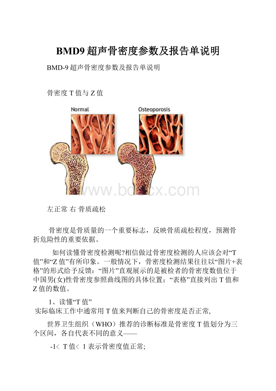 BMD9超声骨密度参数及报告单说明.docx_第1页