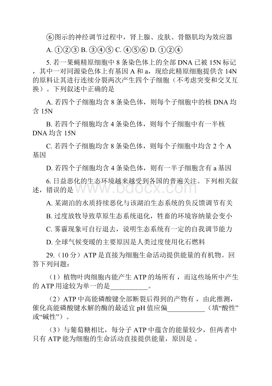 甘肃省兰炼一中届高三理综生物部分下学期第二次模拟试题文档格式.docx_第3页