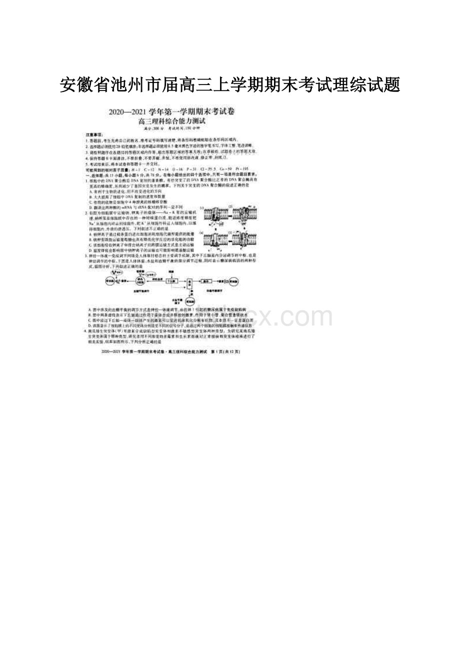 安徽省池州市届高三上学期期末考试理综试题.docx_第1页