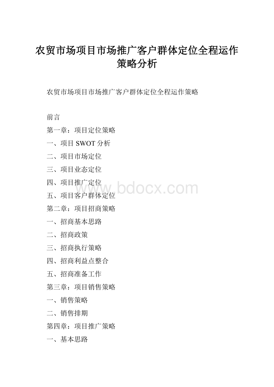 农贸市场项目市场推广客户群体定位全程运作策略分析.docx_第1页