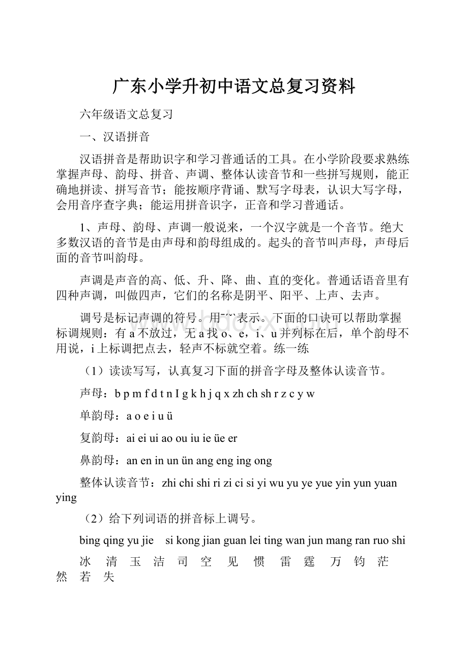 广东小学升初中语文总复习资料.docx