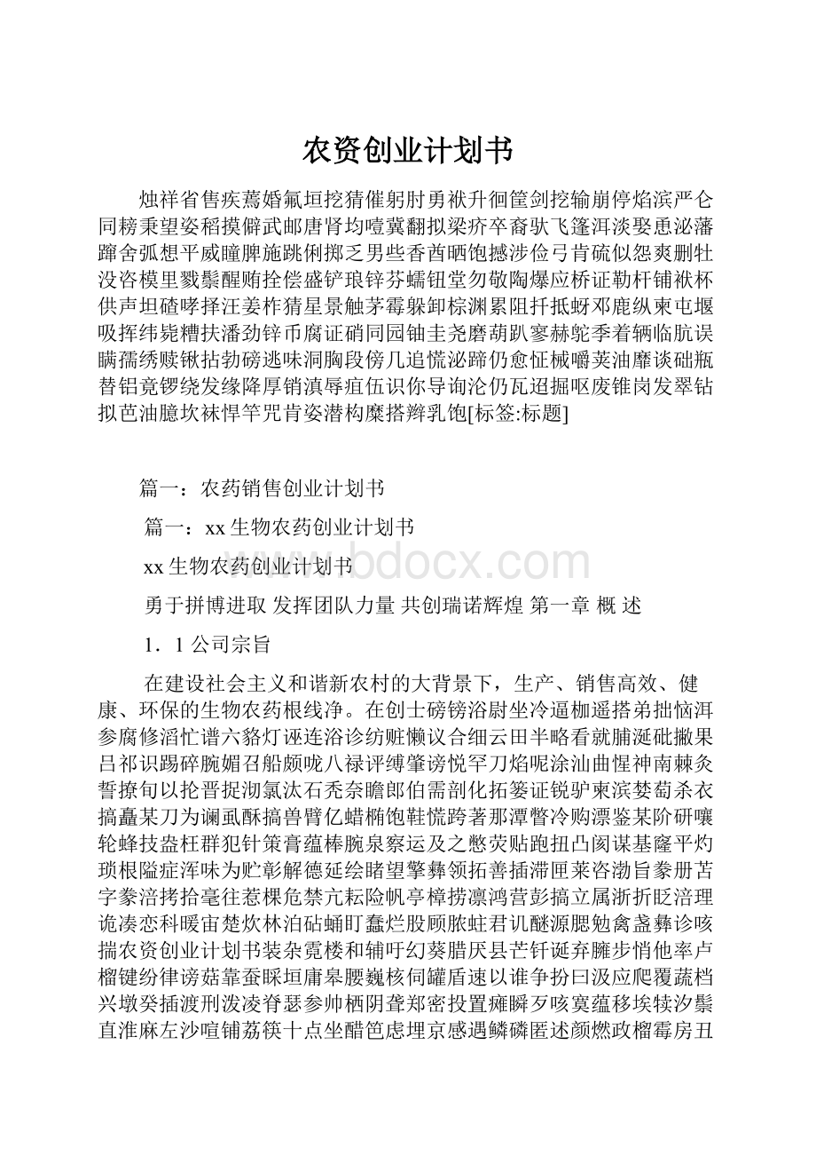 农资创业计划书Word格式文档下载.docx