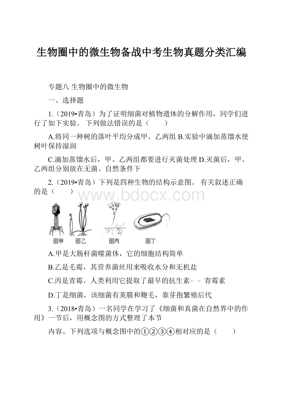 生物圈中的微生物备战中考生物真题分类汇编.docx_第1页