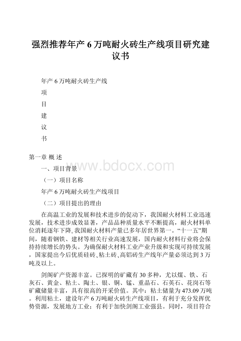 强烈推荐年产6万吨耐火砖生产线项目研究建议书.docx