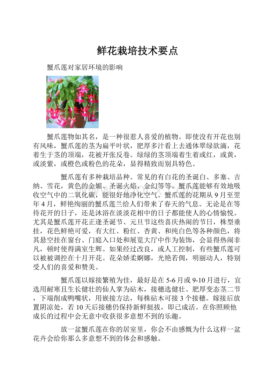 鲜花栽培技术要点Word文档格式.docx