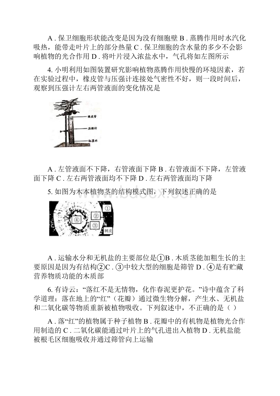 科学八升九暑假衔接训练第14讲 植物的根茎叶Word文档格式.docx_第2页