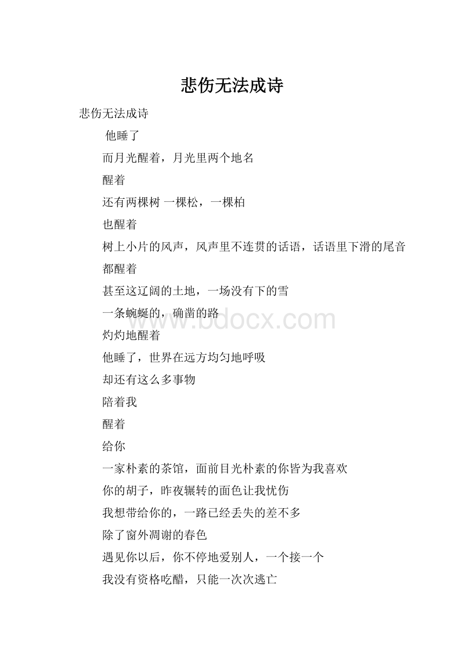 悲伤无法成诗Word文档下载推荐.docx