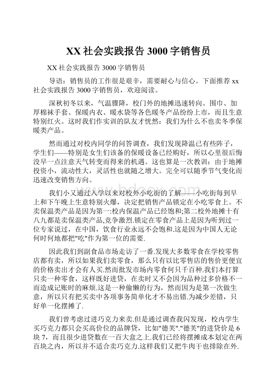 XX社会实践报告3000字销售员Word格式文档下载.docx