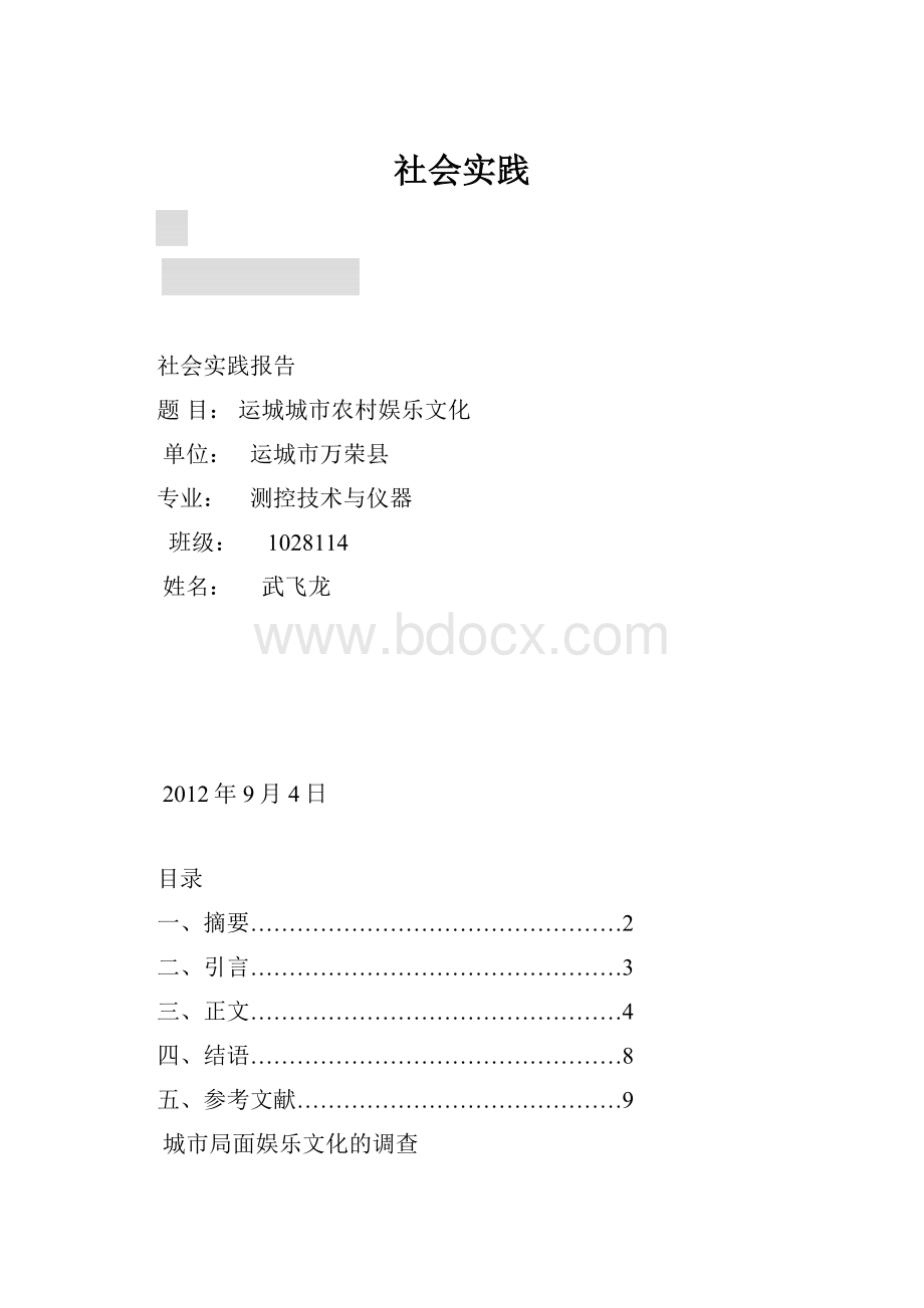 社会实践Word格式.docx