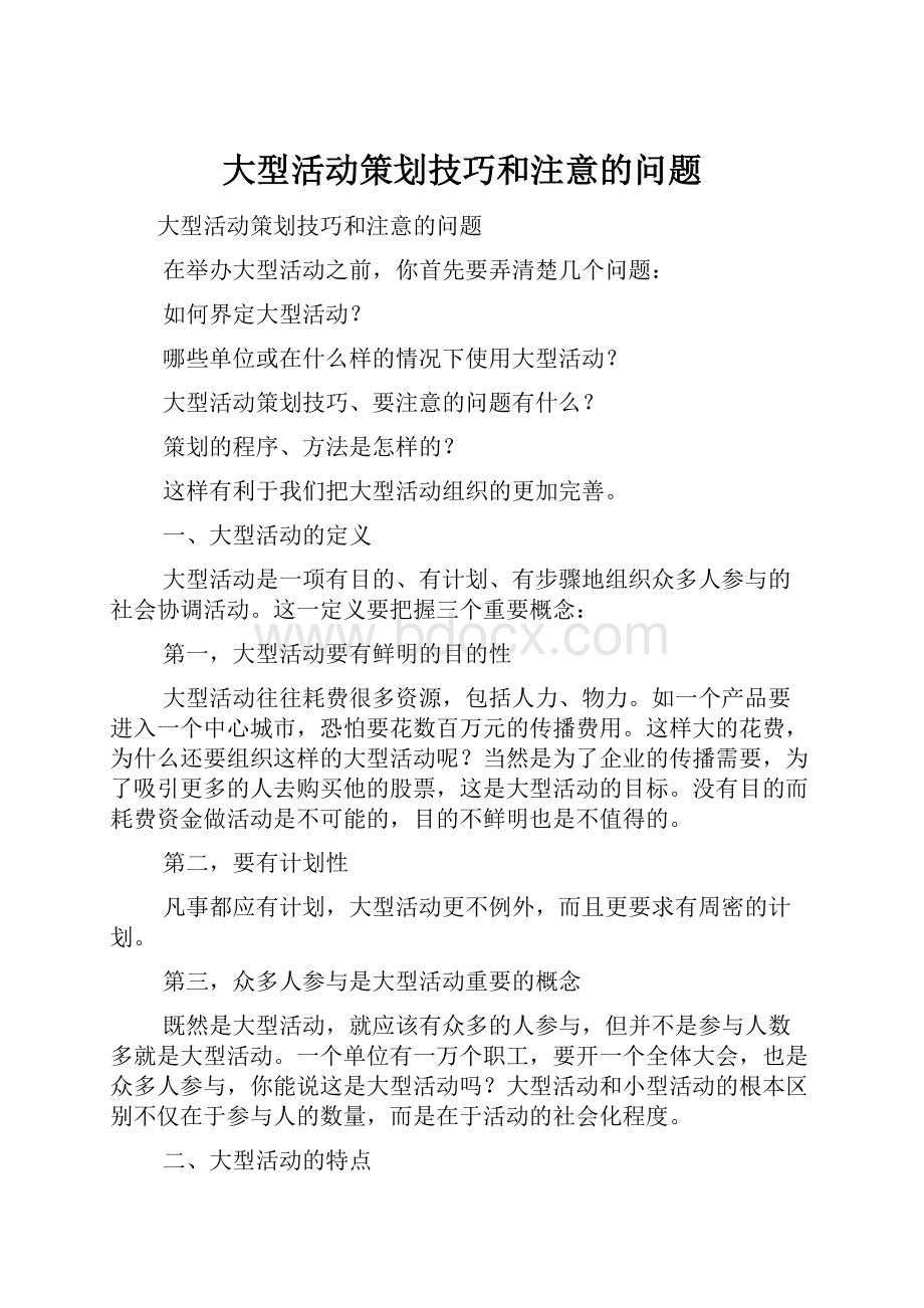 大型活动策划技巧和注意的问题.docx