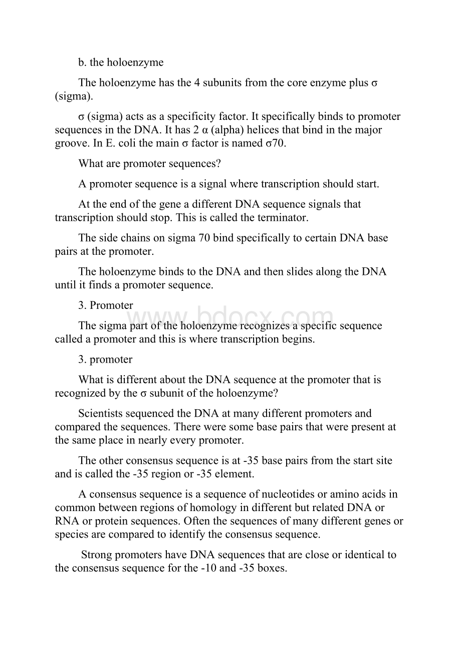 12Mechanisms of Transcription.docx_第3页