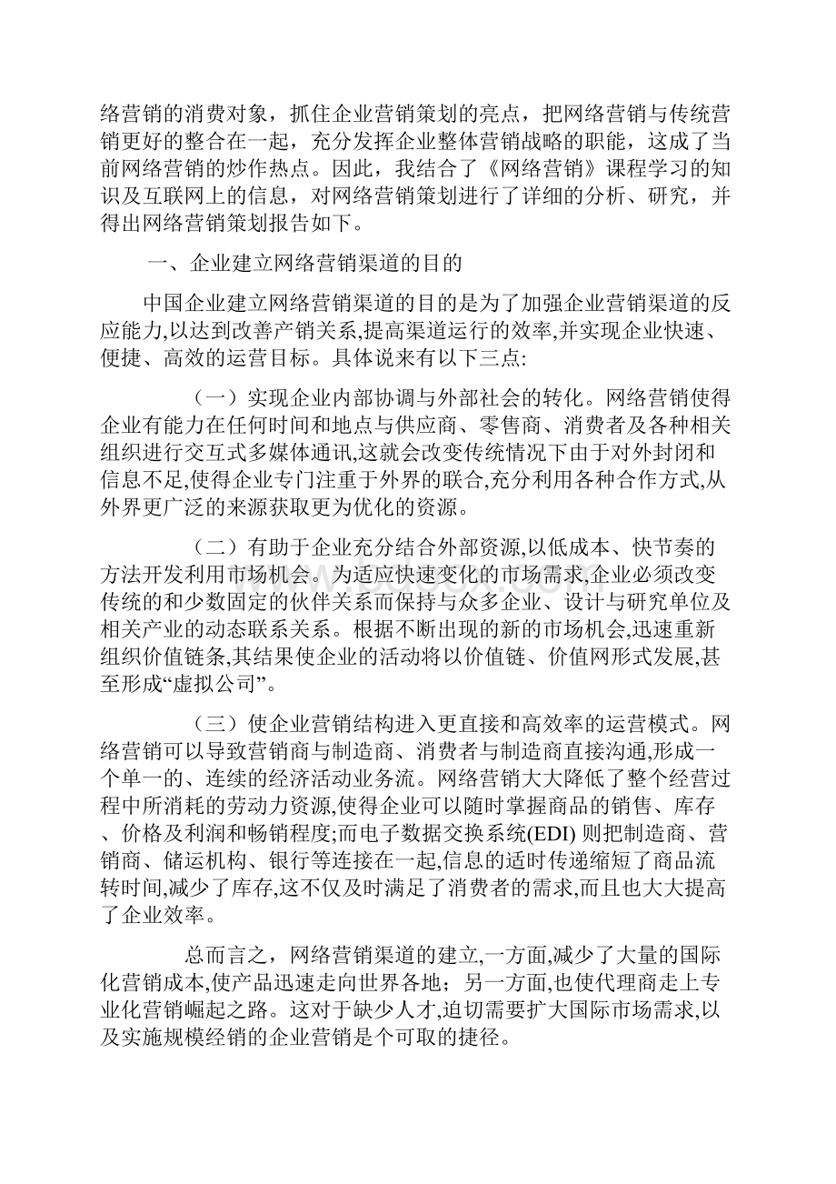 网络营销策划报告.docx_第2页