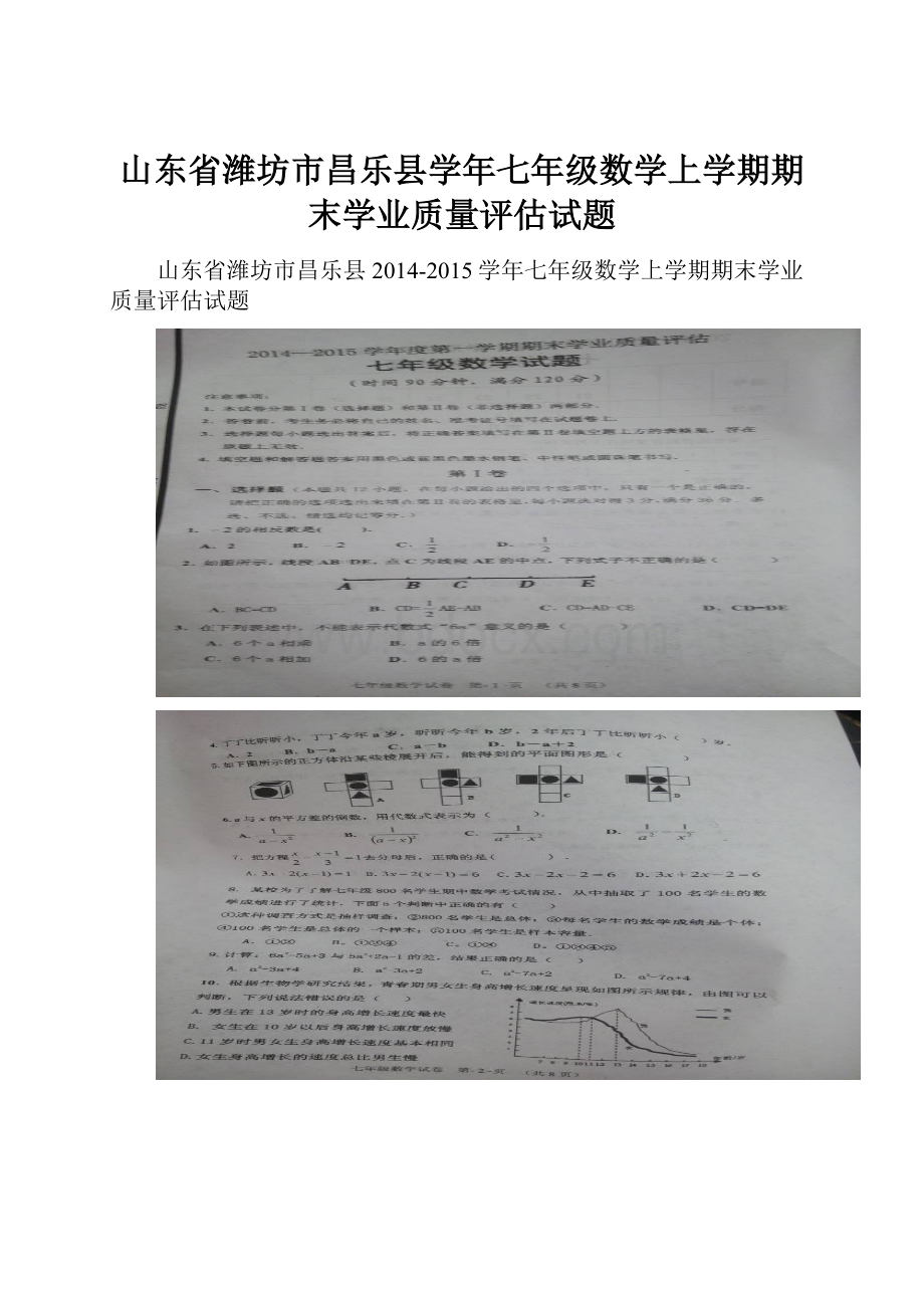 山东省潍坊市昌乐县学年七年级数学上学期期末学业质量评估试题.docx_第1页