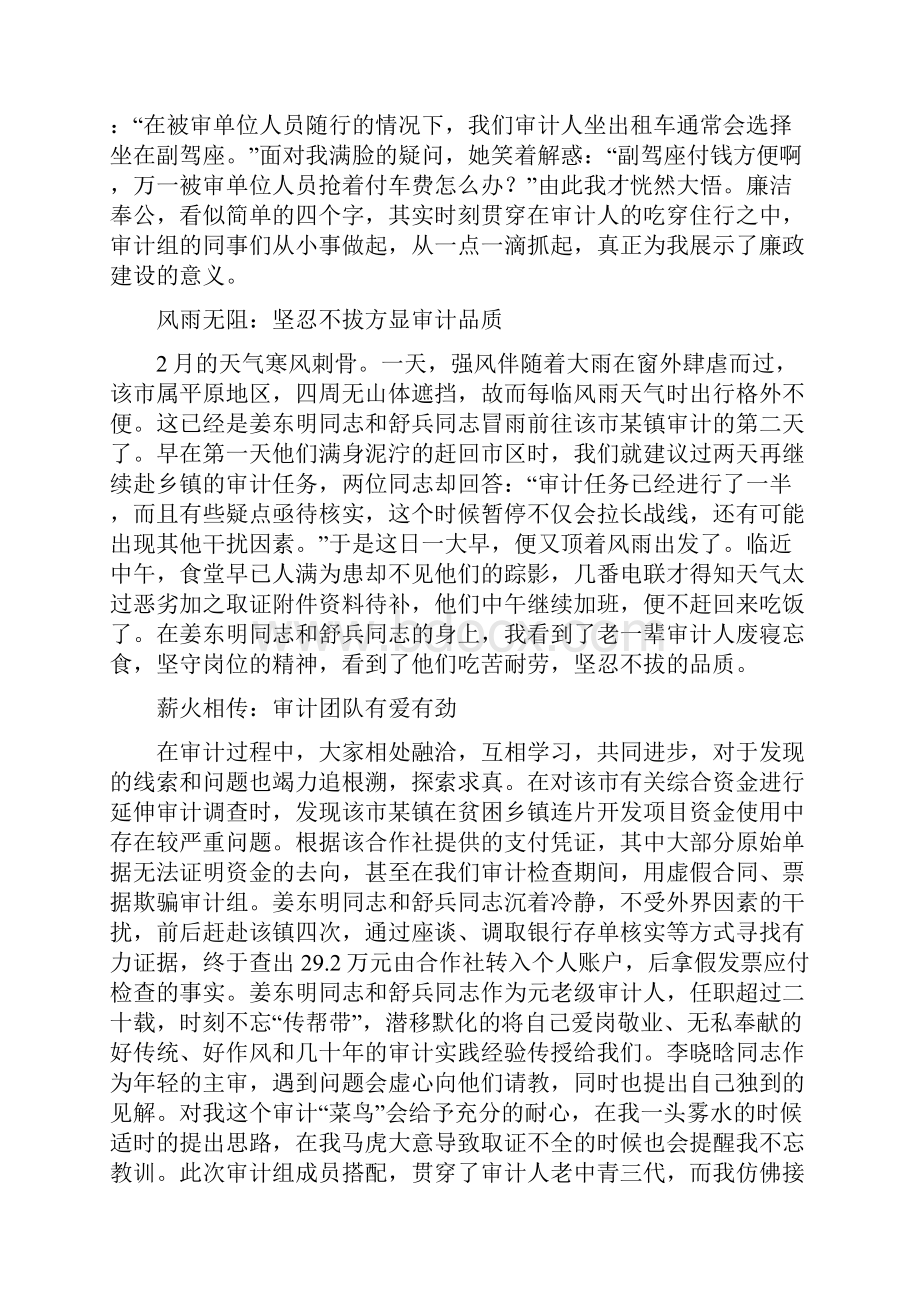 审计故事审计故事征文六篇.docx_第3页