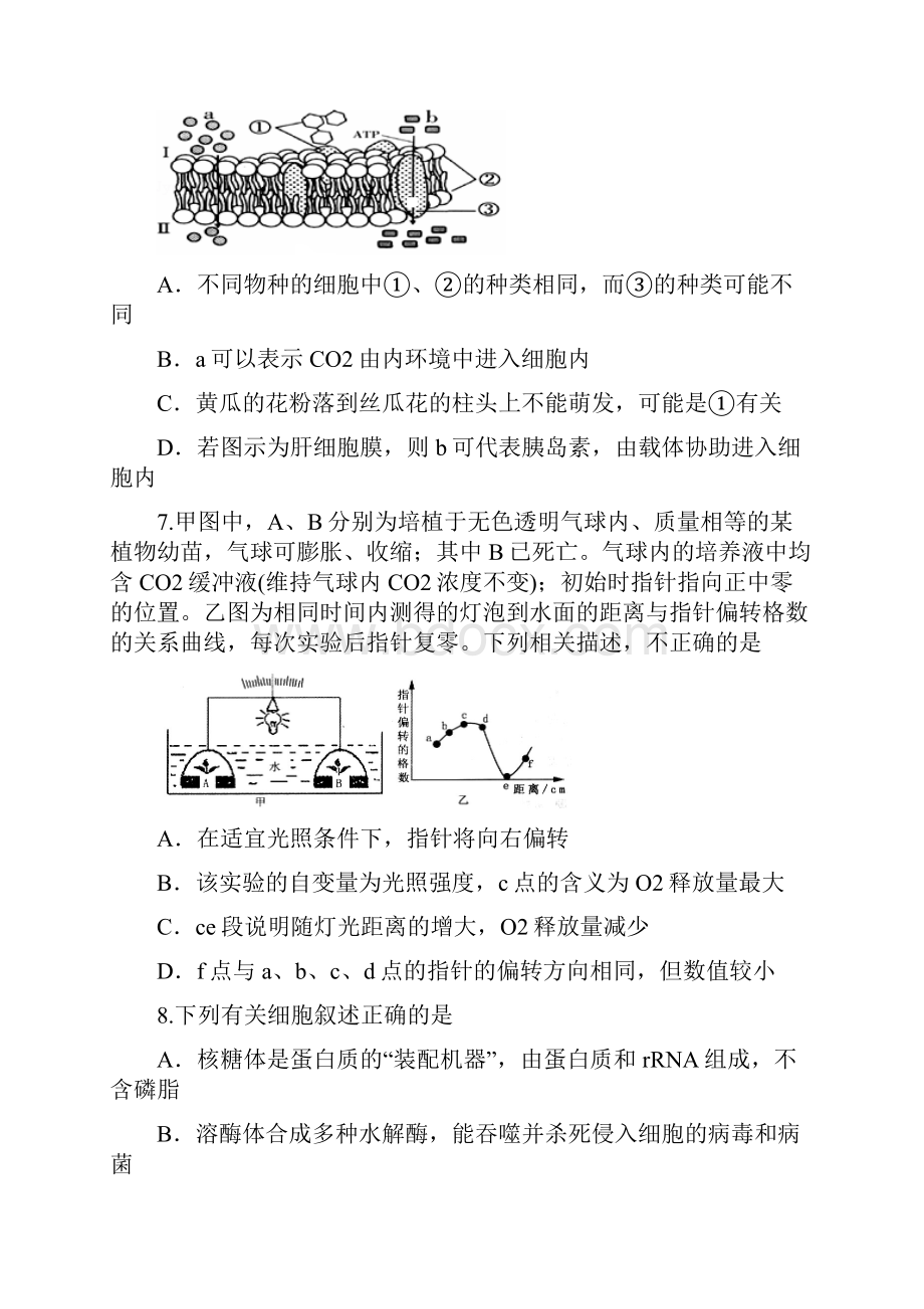 天津市六校届高三上学期期末联考生物试题及答案Word下载.docx_第3页