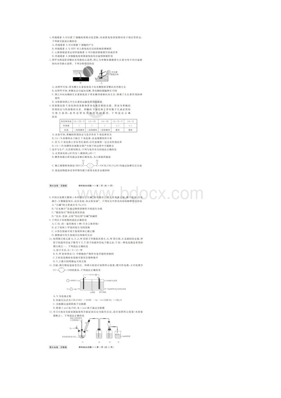 河北衡水中学衡水金卷压轴卷普通高等学校招生全国统一考试模拟试题理科综合能力测试有答案.docx_第2页