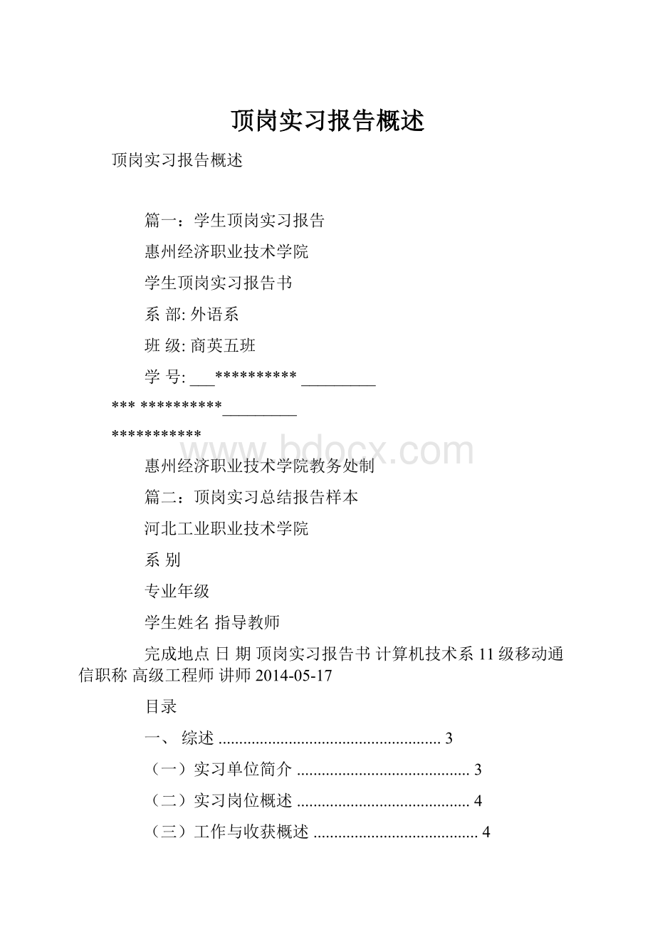 顶岗实习报告概述文档格式.docx