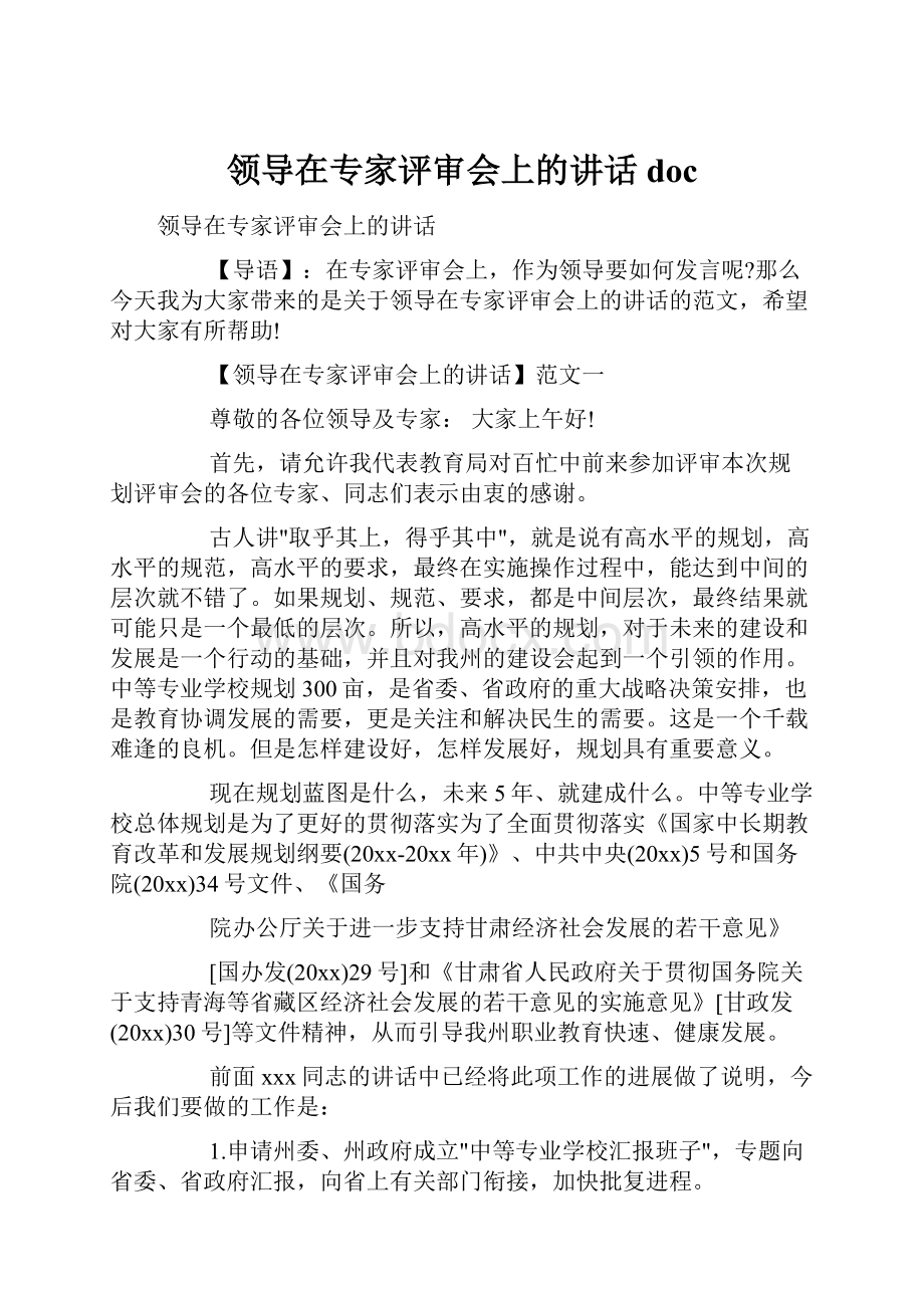 领导在专家评审会上的讲话docWord文档格式.docx