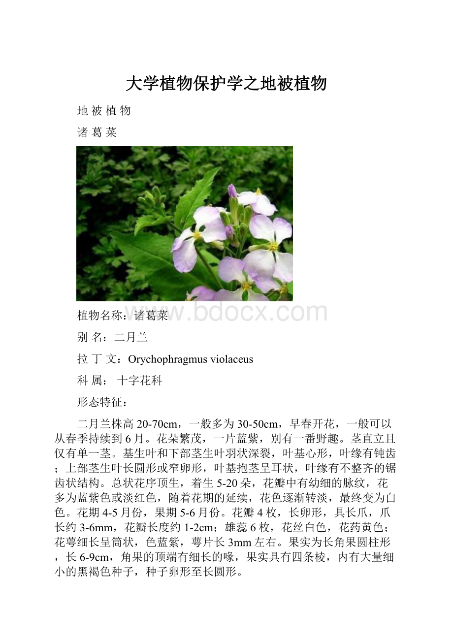 大学植物保护学之地被植物.docx_第1页